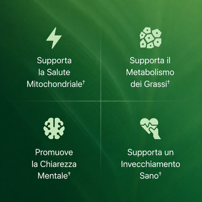 Orivita Amla Superfruit Capsules